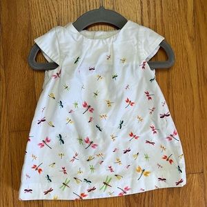 Zara Baby Dragonfly Dress